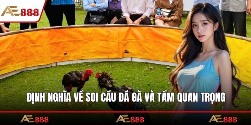 Định nghĩa về soi cầu đá gà và tầm quan trọng