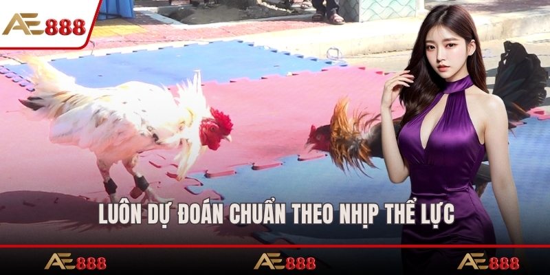 Luôn dự đoán chuẩn theo nhịp thể lực