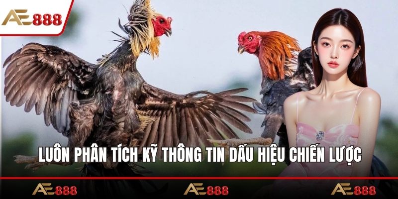 Luôn phân tích kỹ thông tin dấu hiệu chiến lược