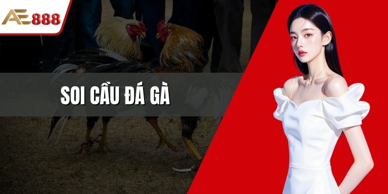 Soi cầu đá gà