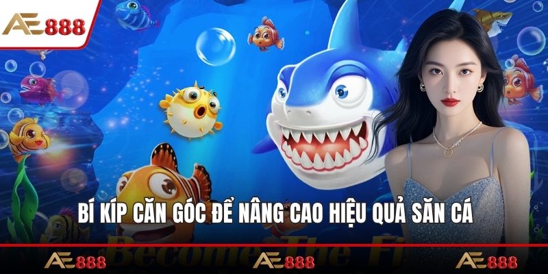 Bí kíp căn góc để nâng cao hiệu quả săn cá