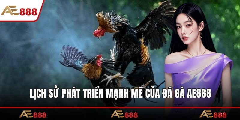 Lịch sử phát triển mạnh mẽ của đá gà AE888