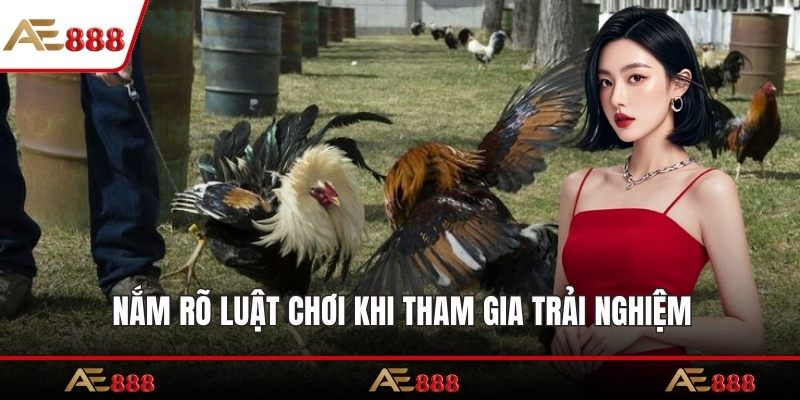 Nắm rõ luật chơi khi tham gia trải nghiệm
